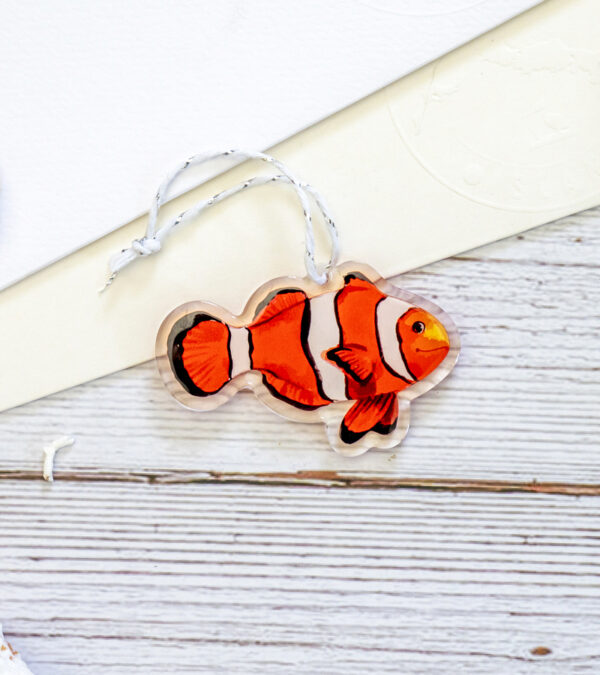 Clown fish, Turks & Caicos acrylic ornament