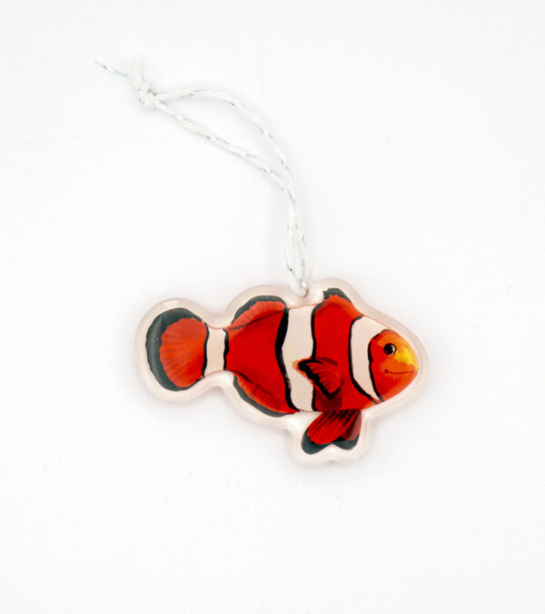 Clown fish, Turks & Caicos acrylic ornament