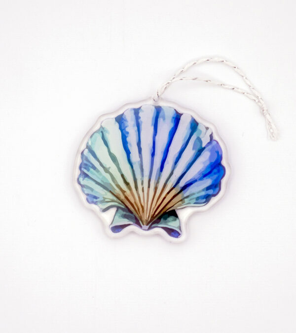 Colourful fan shell Turks & Caicos acrylic ornament