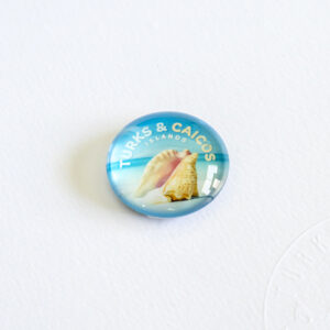 Conch shell glass fridge magnet (small)