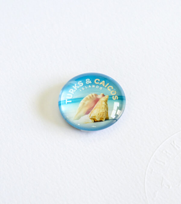 Conch shell glass fridge magnet (small)