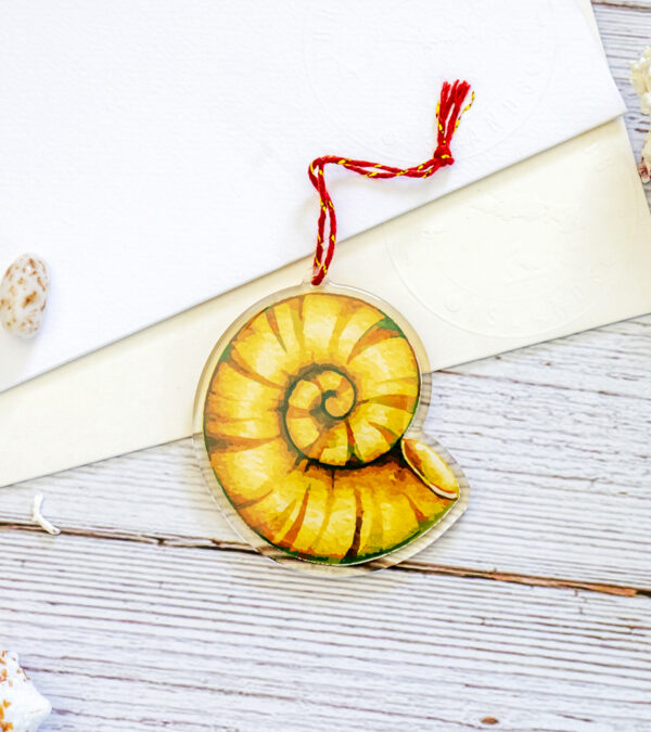 Turks & Caicos gold shell acrylic ornament