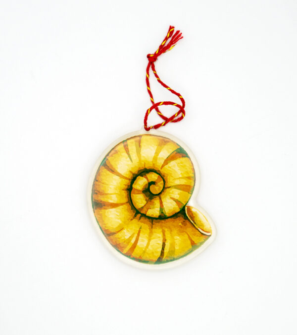 Turks & Caicos gold shell acrylic ornament