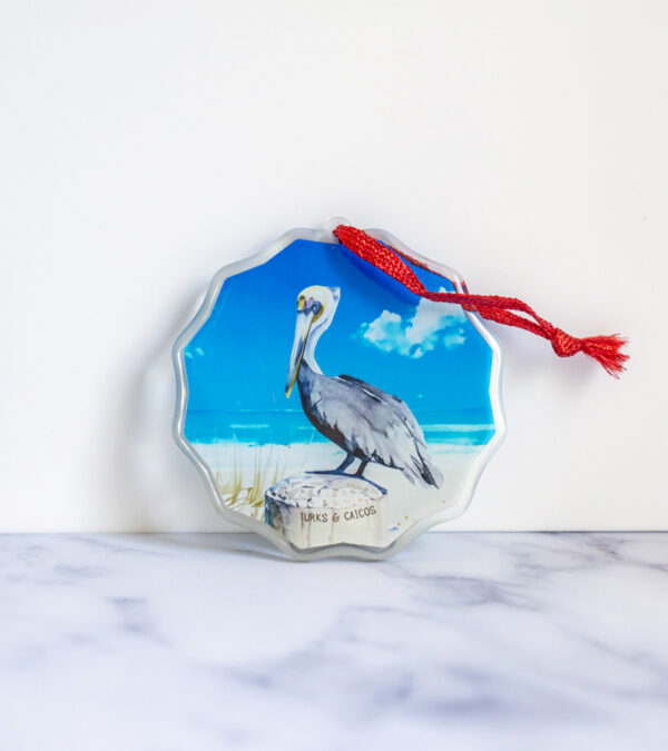 Turks & Caicos brown pelican acrylic ornament