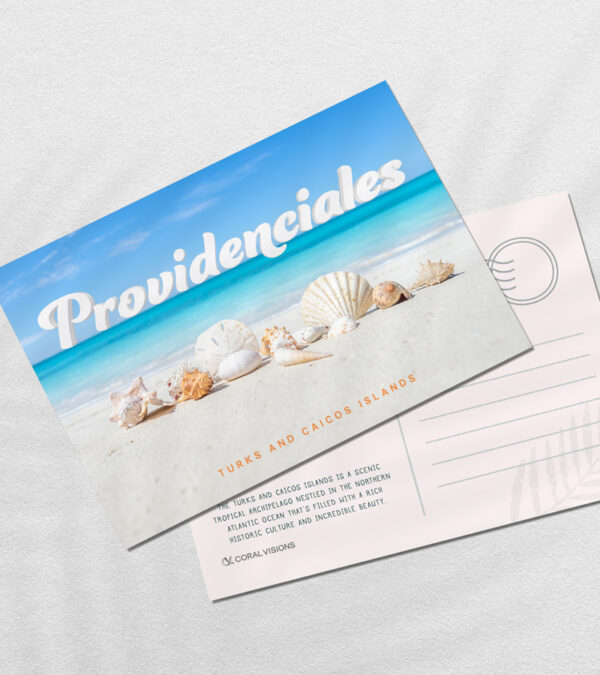 Providenciales, Turks & Caicos shells on the beach postcard