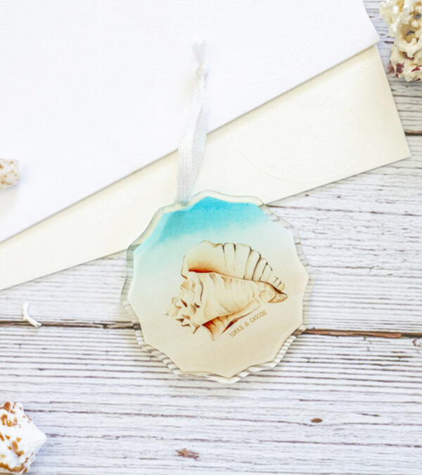 Turks & Caicos Shell acrylic ornament