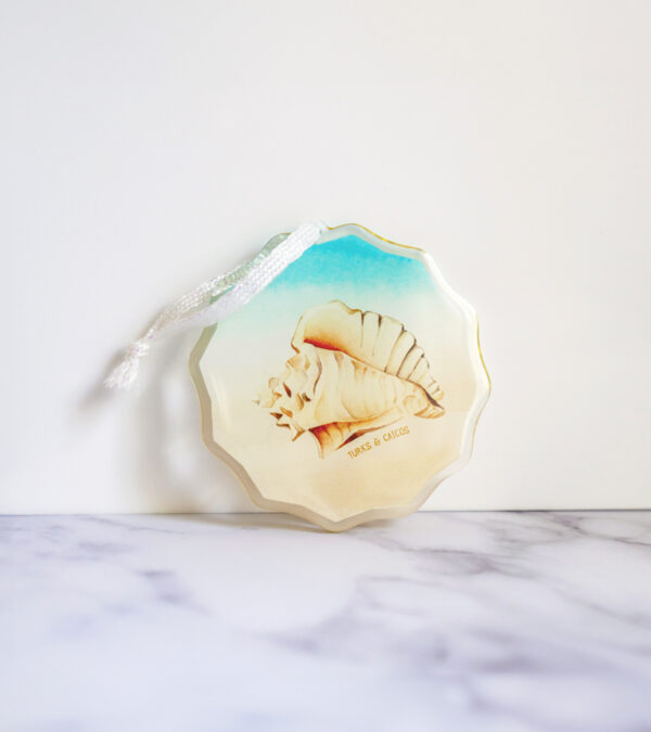 Turks & Caicos Shell acrylic ornament