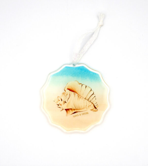 Turks & Caicos Shell acrylic ornament