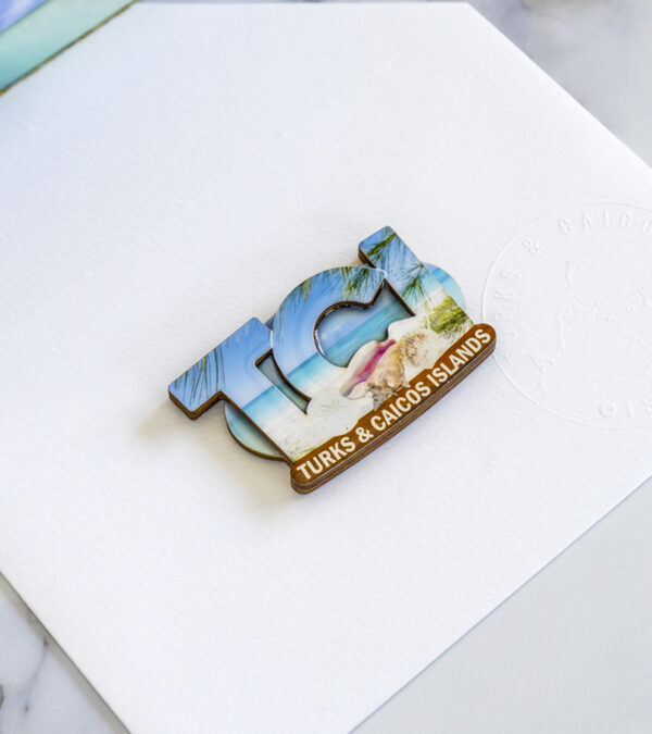 TCI wooden 3D fridge magnet