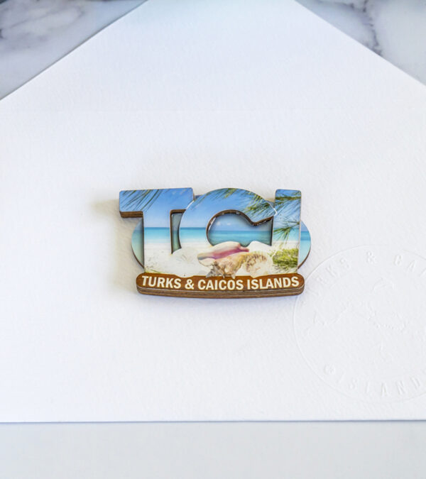 TCI wooden 3D fridge magnet