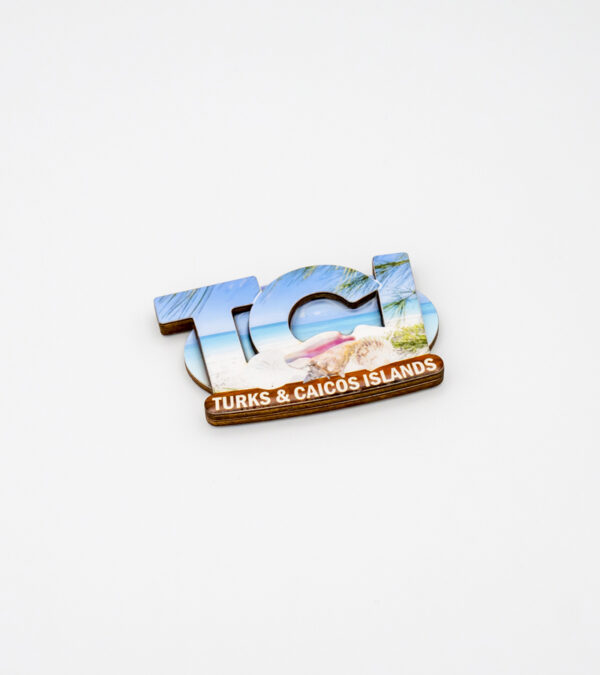 TCI wooden 3D fridge magnet