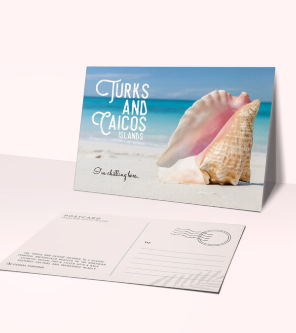 Turks & Caicos conch shell postcard