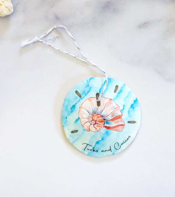 Twirl shell Turks & Caicos sand dollar ornament