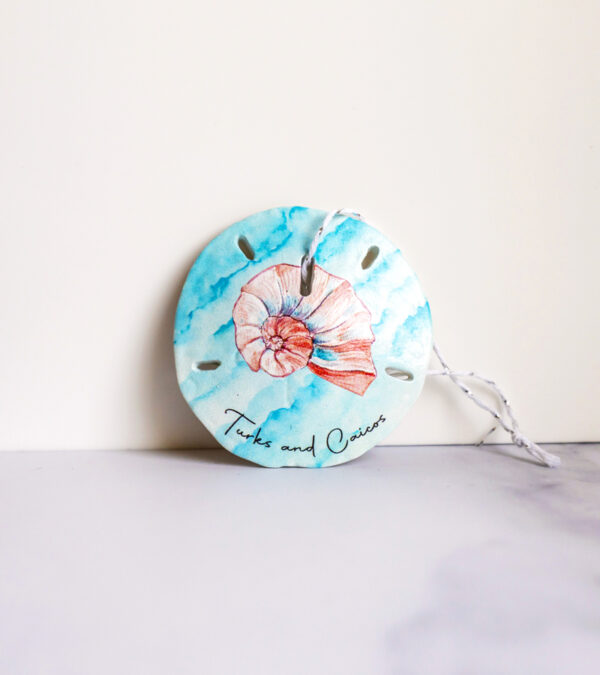 Twirl shell Turks & Caicos sand dollar ornament