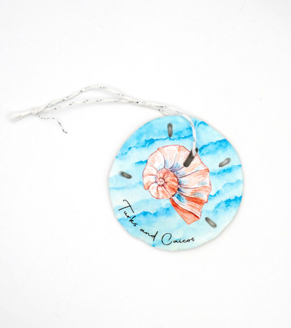 Twirl shell Turks & Caicos sand dollar ornament