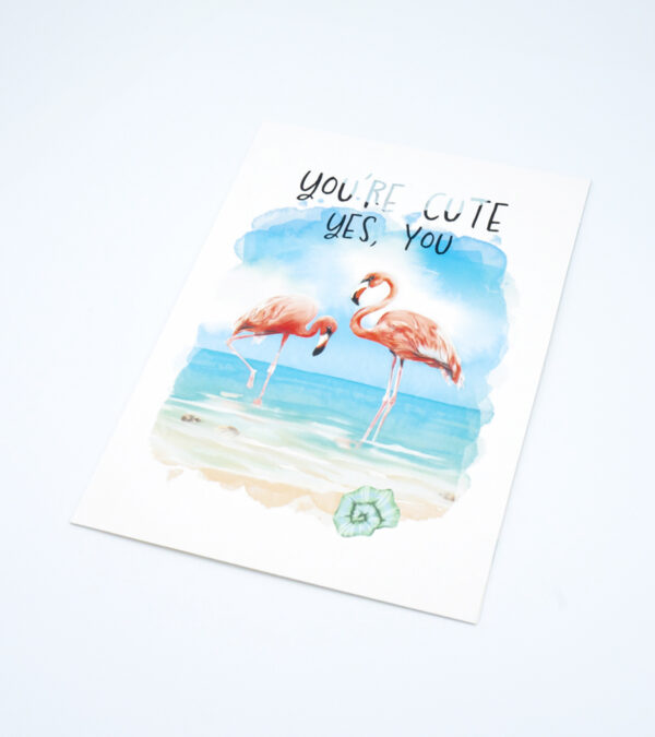 You're Cute - Turks & Caicos greeting card