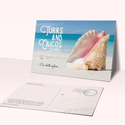 Turks & Caicos conch shell postcard